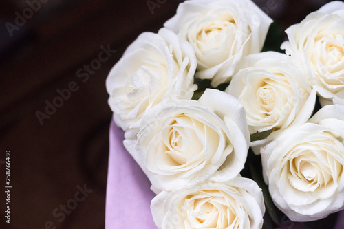 White roses on a black background with water drops and pink petals.