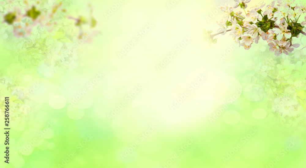 spring blur background