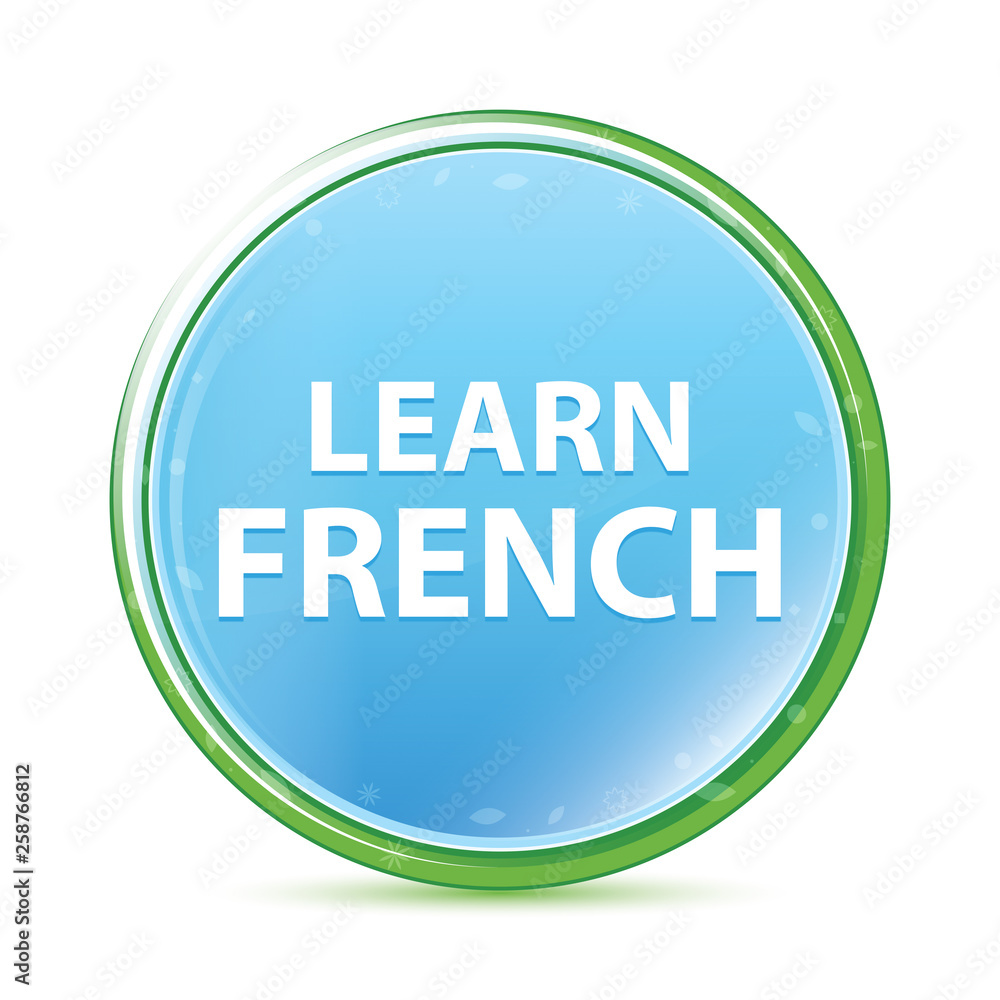 Learn French natural aqua cyan blue round button Learn French natural aqua cyan blue round button