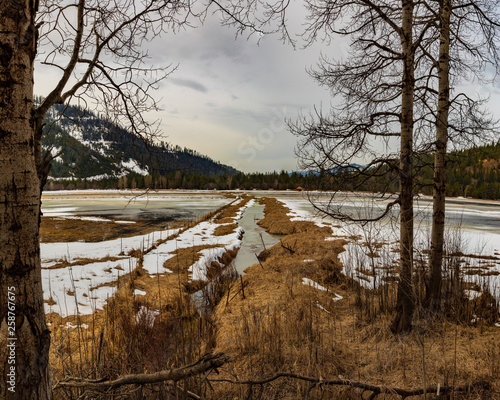 Winter on Elsie lake somewhere off Bear Creek Road in Idaho photo