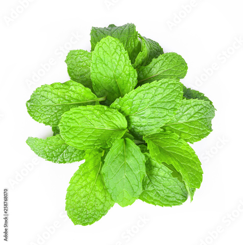 top mint leaves isolated on white background