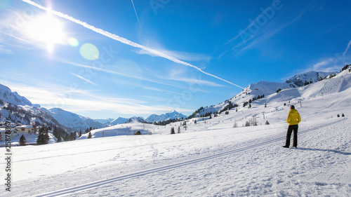 Schneelandschaft in den Alpen