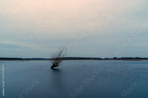 Rozlewiska Narwi i Biebrzy. Wiosna na Podlasiu