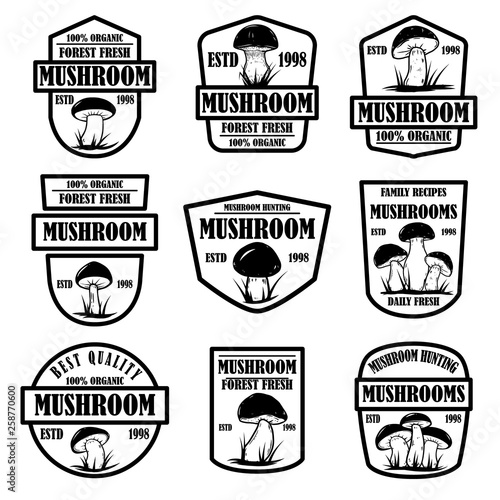 Set of mushroom hunting emblems. Design element for poster, logo, label, sign.