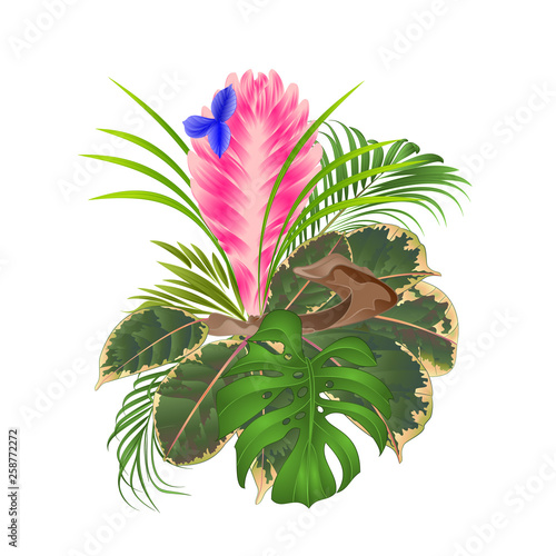 Tillandsia cyanea on a branch bouquet with tropical flowers palm,philodendron on a white background vintage vector illustration editable hand draw photo