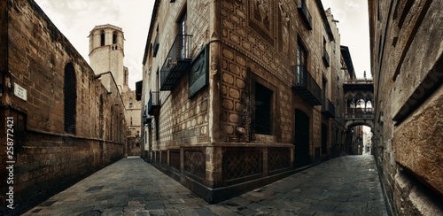Old buildings in Gothic Quarter in Barcelona © rabbit75_fot