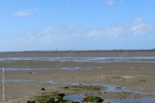 Hilgenriedersiel, Wadden Sea Germany: View into the sea at low tide © PeSchne