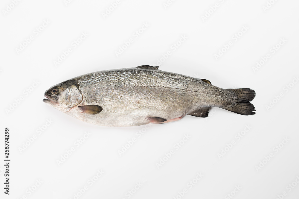 Obraz premium Rainbow trout gutted.Peeled fish on a white background
