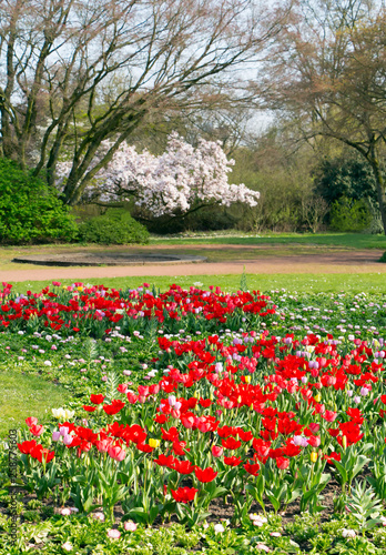 Wallpaper Mural Flowers and trees in bloom Torontodigital.ca
