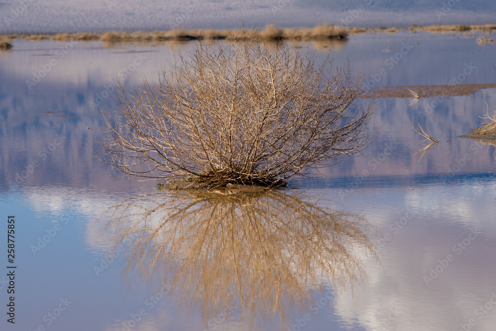 Φωτογραφία A dried lake bed in Death Valley California reflects itself into the rare occurrence of water