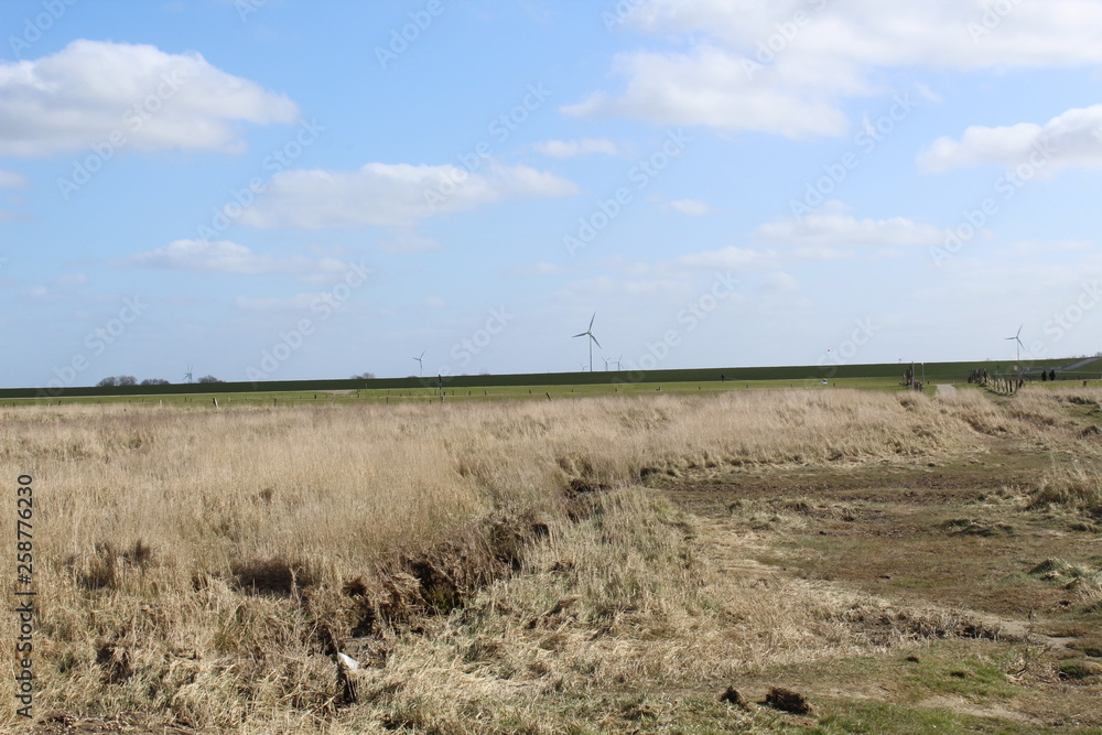Hilgenriedersiel, Wadden Sea Germany:View over the summer polder (former salt marshes) in the dike foreland