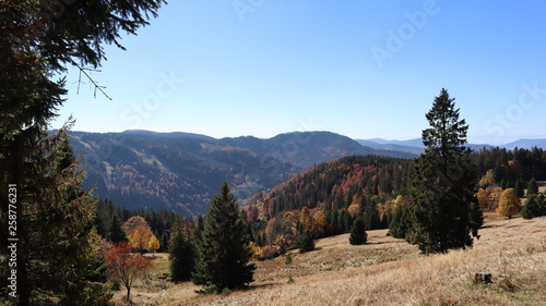 Spaziergang durch die NAtur