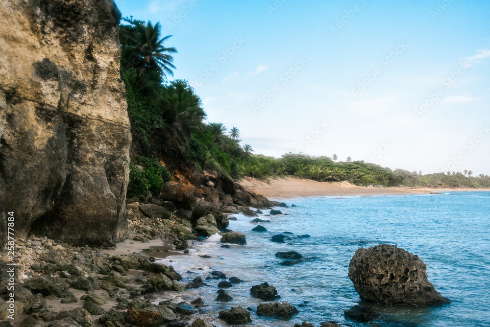 Fototapeta premium Wilderness Beach, Base Ramey, Puerto Rico