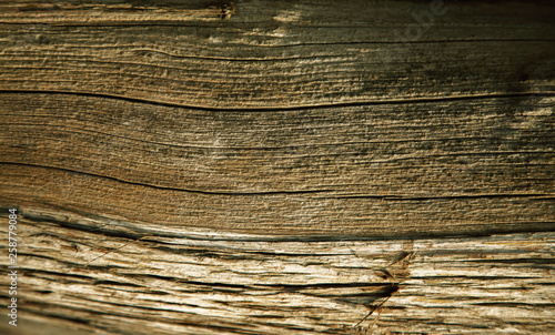 Old rich beautiful wood texture background. Wood wall for design and text, texture for designer. Horizontal image.