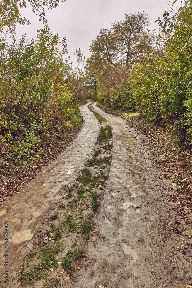 Dirtroad in the countryside Dirtroad in the countryside