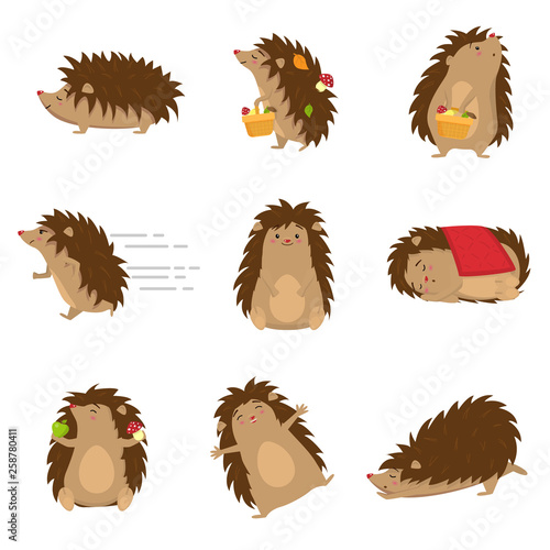 Cute hedgehogs in different poses set isolated on white background photo