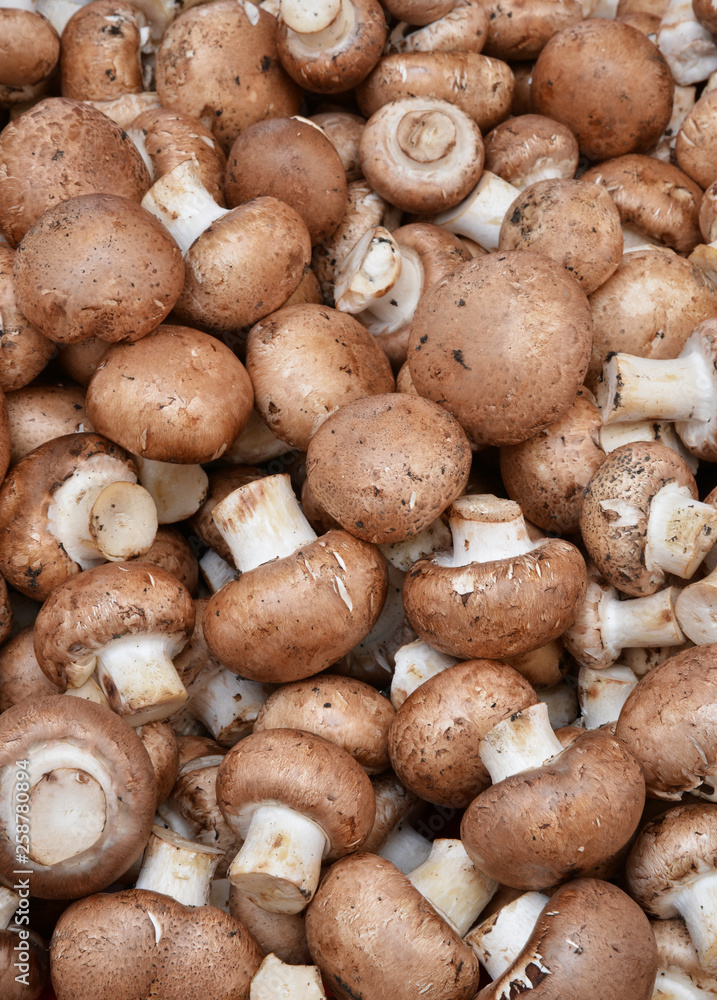 pile of fresh mushrooms