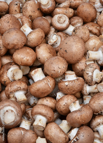 pile of fresh mushrooms