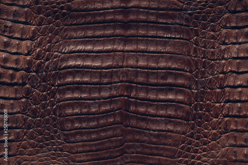 Brown crocodile skin texture