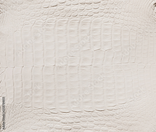 White crocodile skin texture