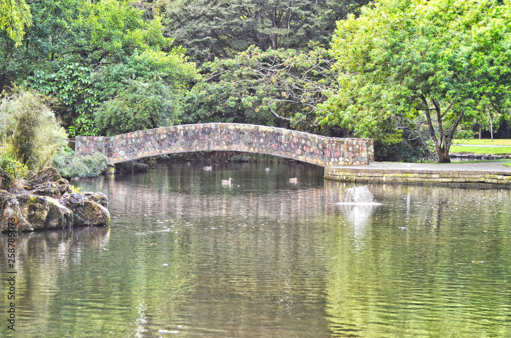 Rock Bridge Between Trees over Duck Pond with Reflection and Fountain Rock Bridge Between Trees over Duck Pond with Reflection and Fountain