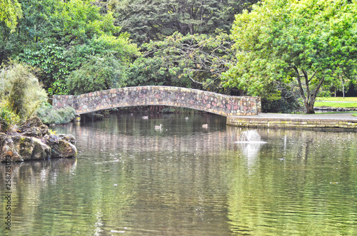 Rock Bridge Between Trees over Duck Pond with Reflection and Fountain