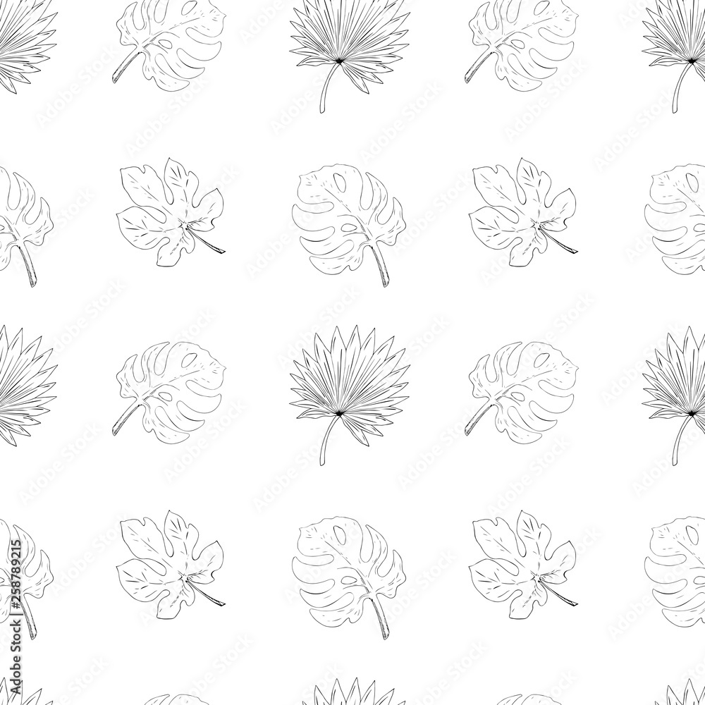 Seamless pattern tropical leaves. Line art black and white monstera, fig and palm Seamless pattern tropical leaves. Line art black and white monstera, fig and palm