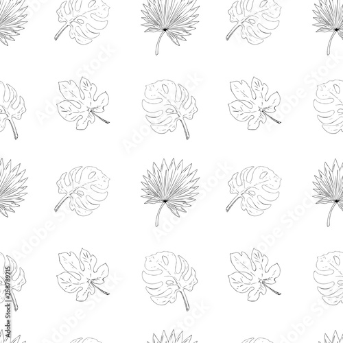 Seamless pattern tropical leaves. Line art black and white monstera  fig and palm