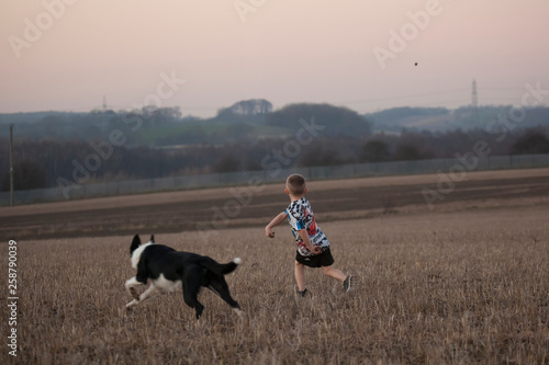 Boy playing with Blue the Border Collie