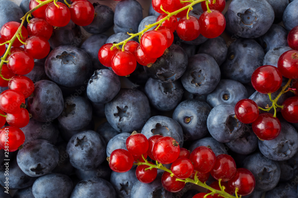 Texture berries close up. Top view. Blue and red berries. Ripe blueberries and red currants. Various fresh summer berries and fruits. Blue and red food. Texture berries close up. Top view. Blue and red berries. Ripe blueberries and red currants. Various fresh summer berries and fruits. Blue and red food.