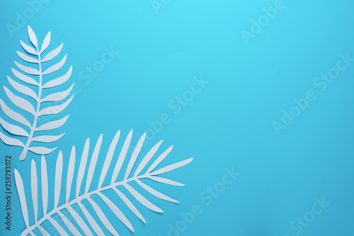 Tropical leaf pattern. Various paper leaves on a pastel background. art. Flat lay, top view. Background on blueprints. Loop background, summer mood