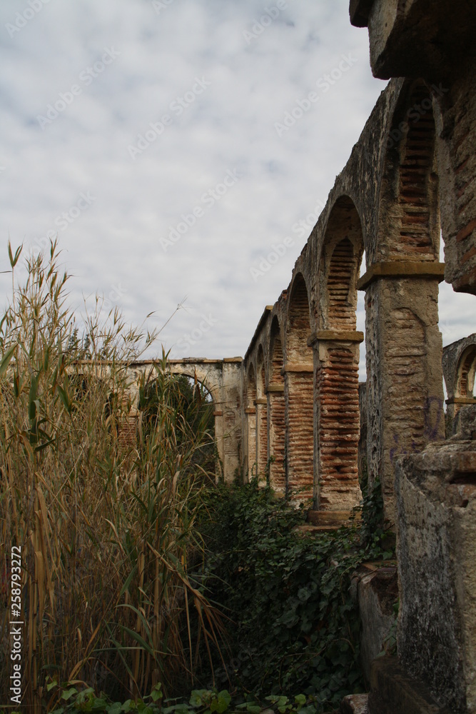 Naklejka premium Ruinas
