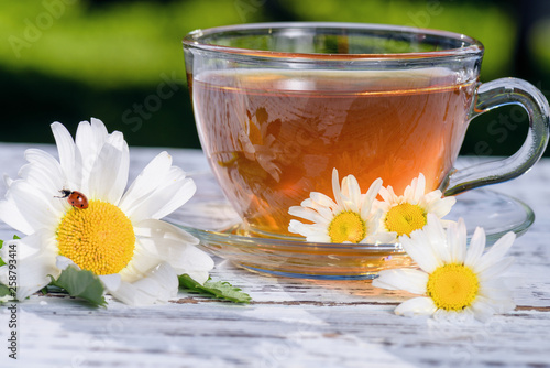 Chamomile tea. Cup of fragrant tea standing on a wooden  white table  in the rays of sunlight  in the flowers of the field chamomile  along which a ladybird crawls.