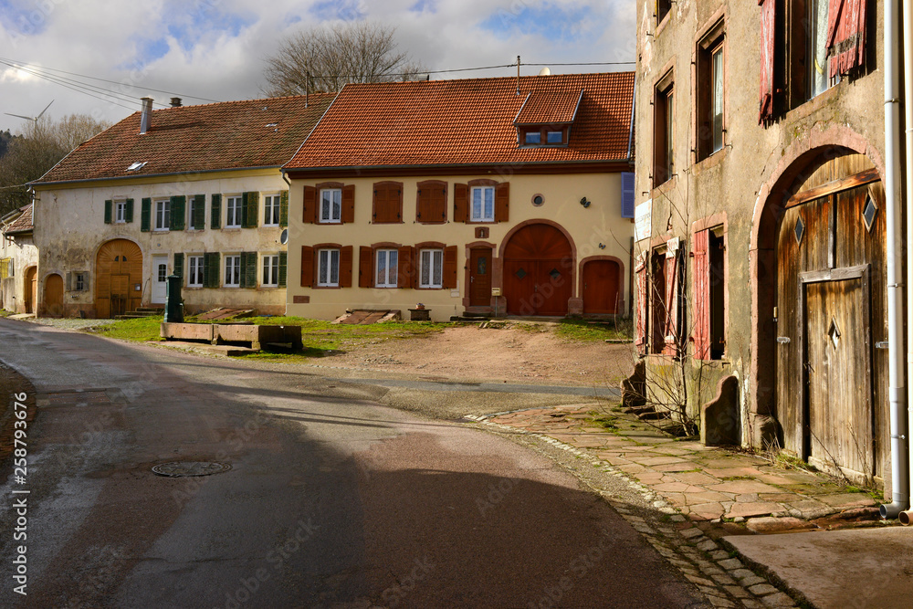 Fototapeta premium Rue de Senones à Saales (67420) en Alsace, département du Bas-Rhin en région Grand-Est, France 