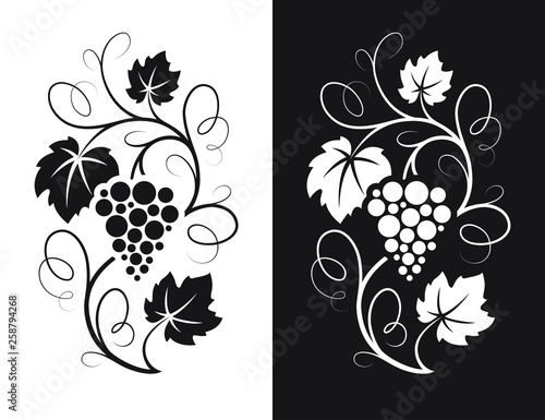 Grapes decorative pattern. photo