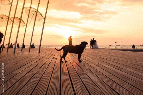 Canvas Print art photography concept of people background silhouettes and Labrador dog shape