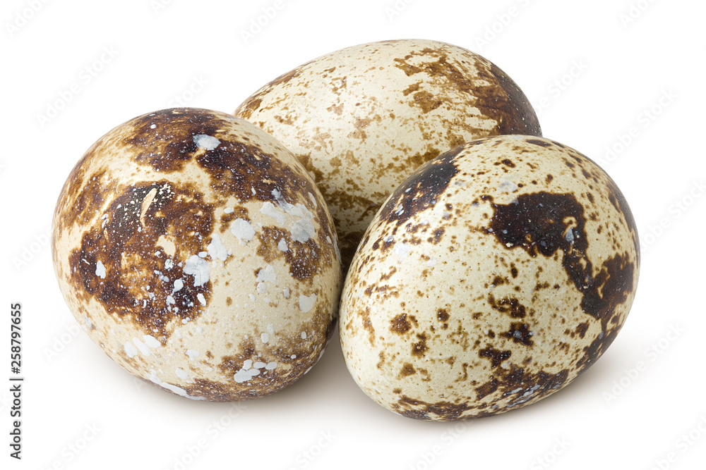 quail egg, isolated on white background, clipping path, full depth of field quail egg, isolated on white background, clipping path, full depth of field