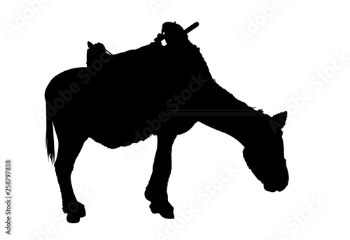 a horse silhouette vector