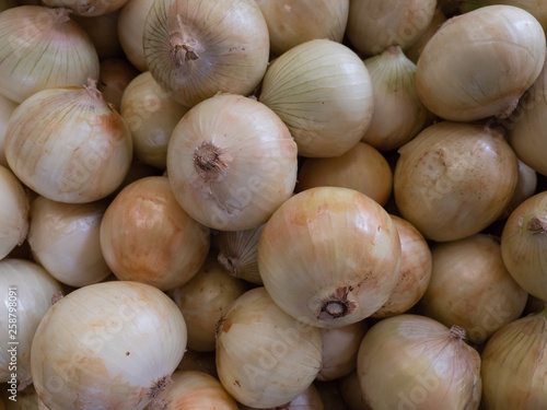 frische Zwiebeln an einem Marktstand, Hintergrund
