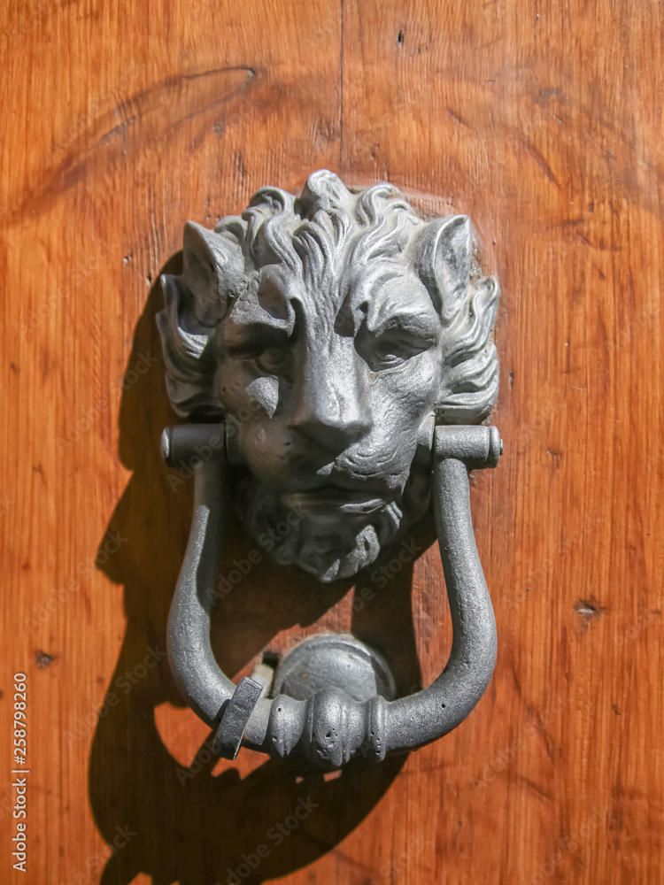 Metal door handle on an old wooden door in the shape of a lion's head