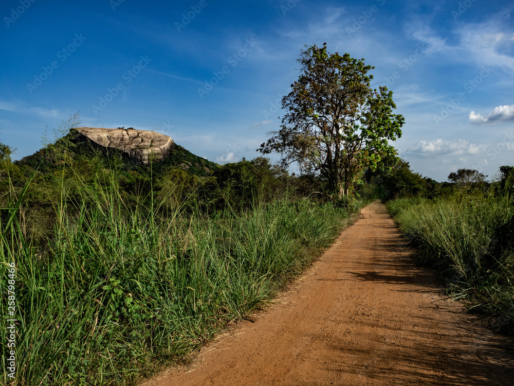 Road to rock Pidurangalan with blue sky. Sri Lanka, March 10, 2019.