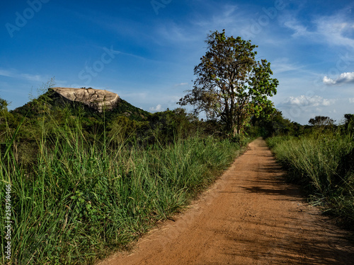 Road to rock Pidurangalan with blue sky. Sri Lanka  March 10  2019.