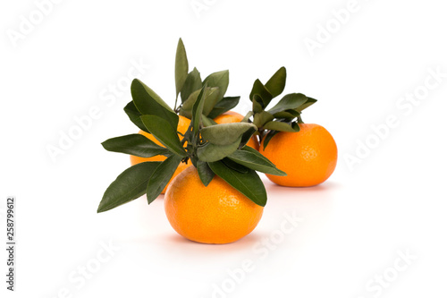 Tangerines with green leaves on a white background
