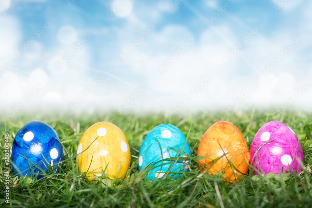 Row of Easter eggs in Fresh Green Grass