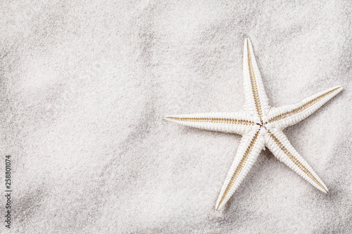 White starfish on sand with copy space  top view