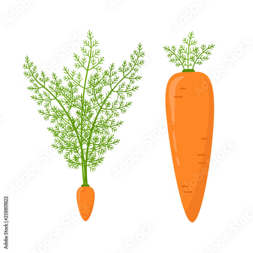 Pareto principle illustration with carrots