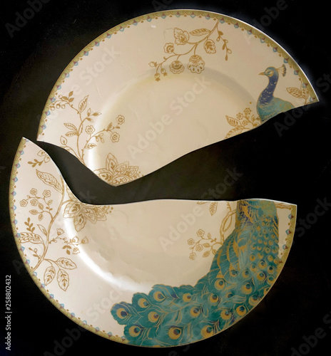 Photography Broken China Plate with Peacock