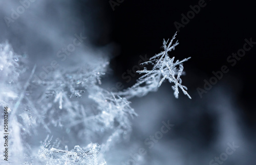 snowflake, little snowflake on the snow