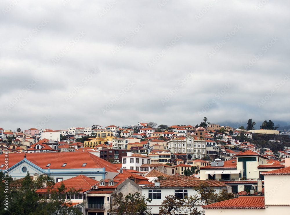 a panoramic cityscape view of funchal showing buildings of the town center and houses running up the mountains to trees and sky