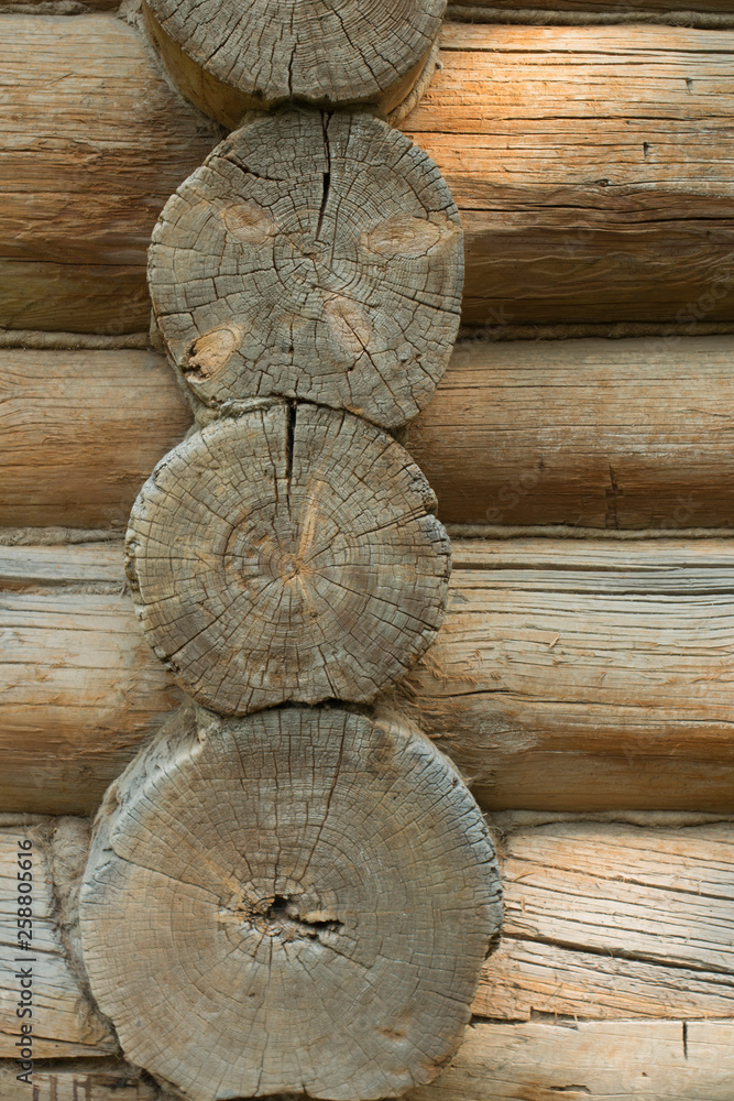 Wooden natural cut logs textured background, top view, flat lay Wooden natural cut logs textured background, top view, flat lay